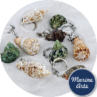 8137 - Shell Keyrings - Assorted